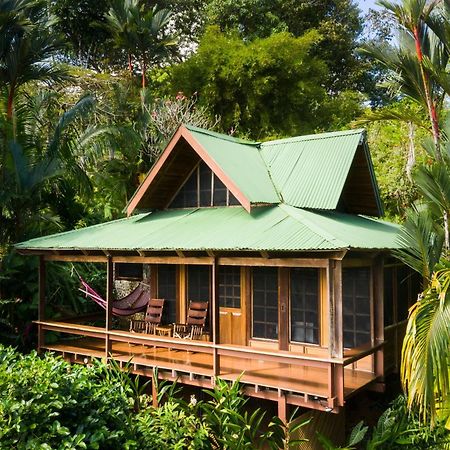 Aguila De Osa Rainforest Lodge Drake Bay Exterior photo