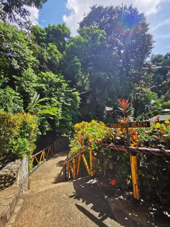 Aguila De Osa Rainforest Lodge Drake Bay Exterior photo