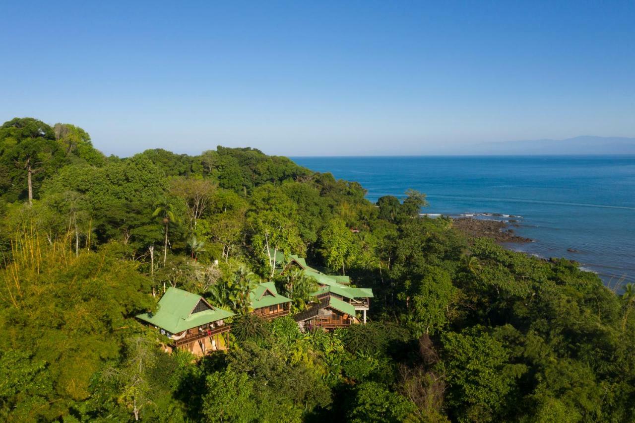 Aguila De Osa Rainforest Lodge Drake Bay Exterior photo